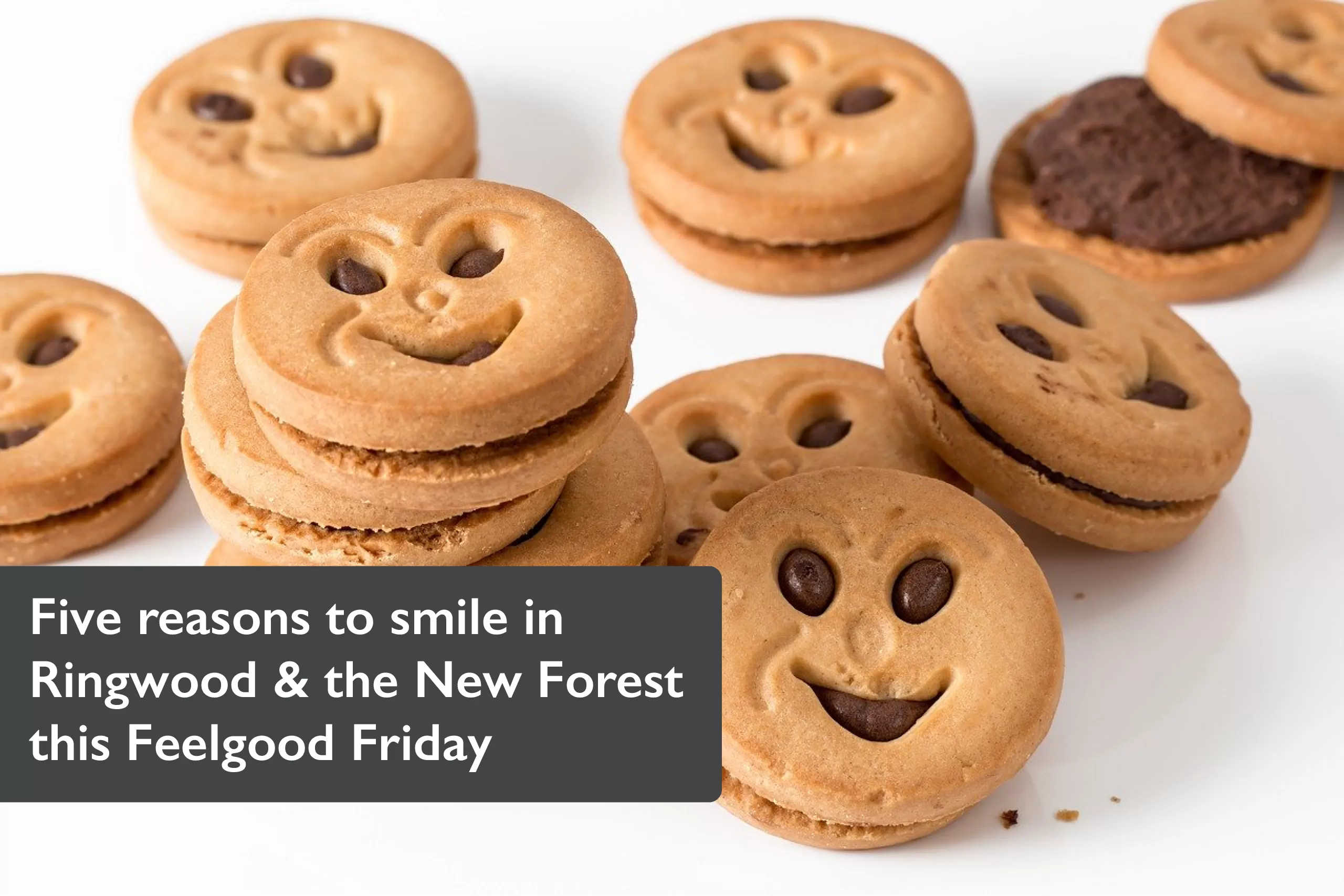 Five reasons to smile in Ringwood & the New Forest this Feelgood Friday