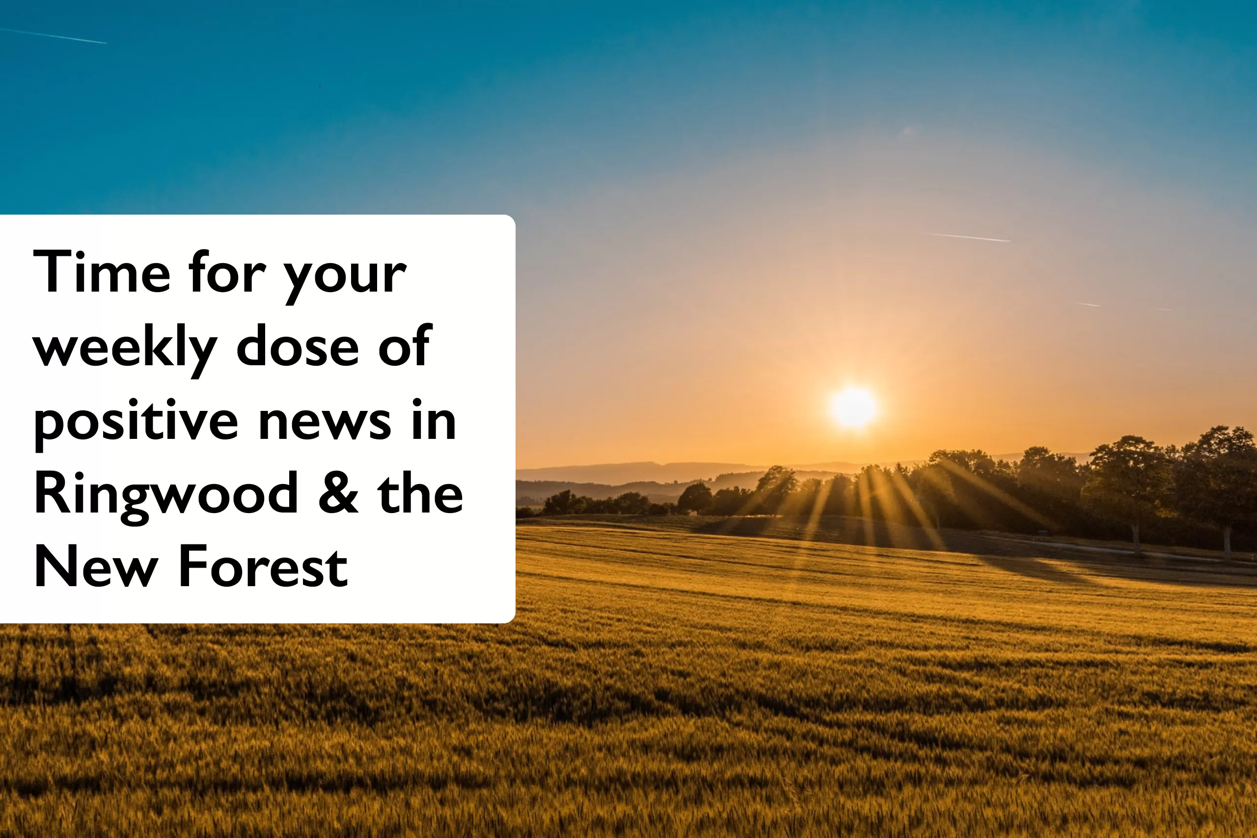 Time for your weekly dose of positive news in Ringwood & the New Forest