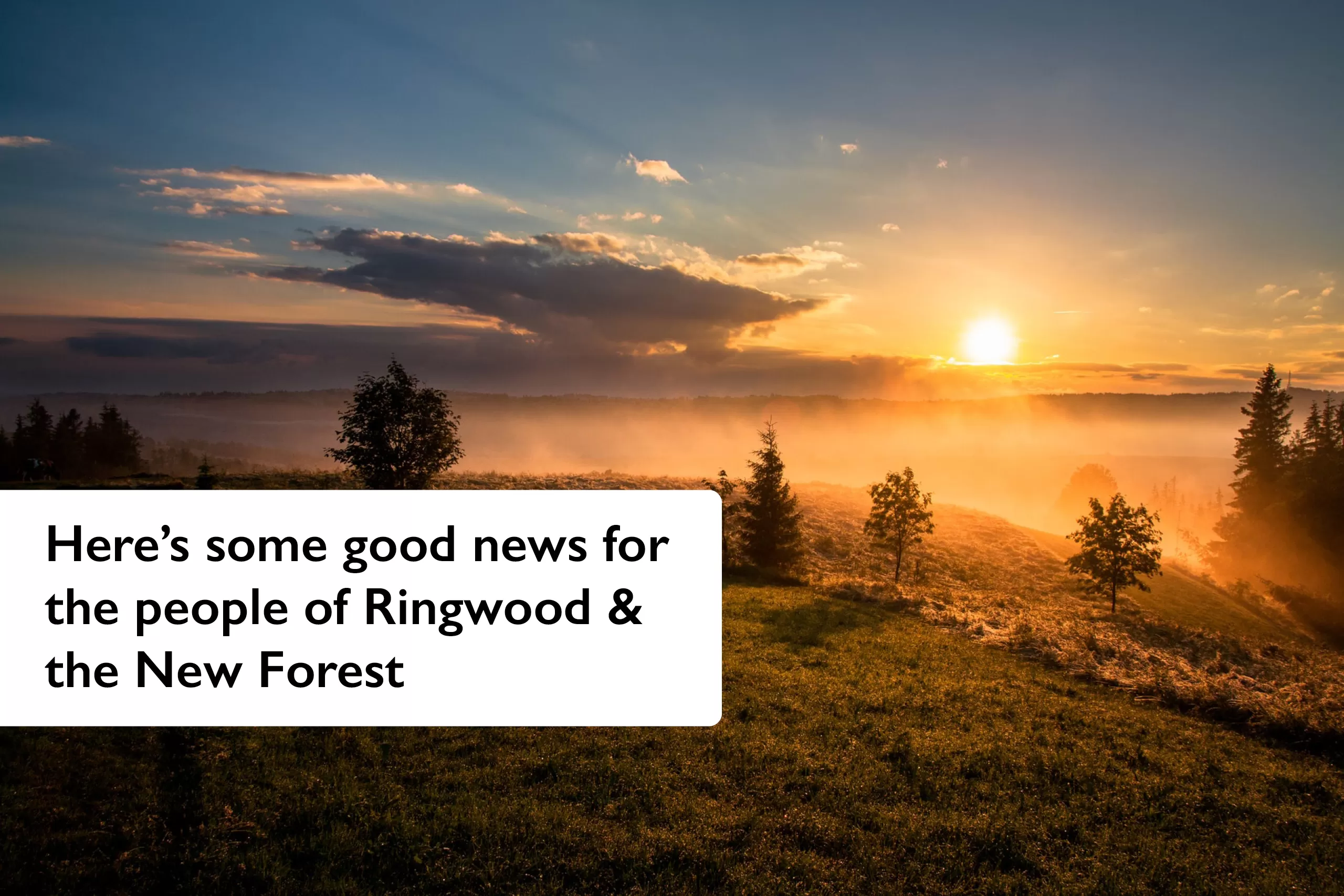 Here’s some good news for the people of Ringwood & the New Forest