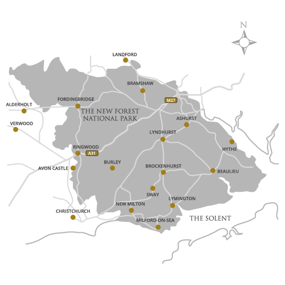 New Forest Map